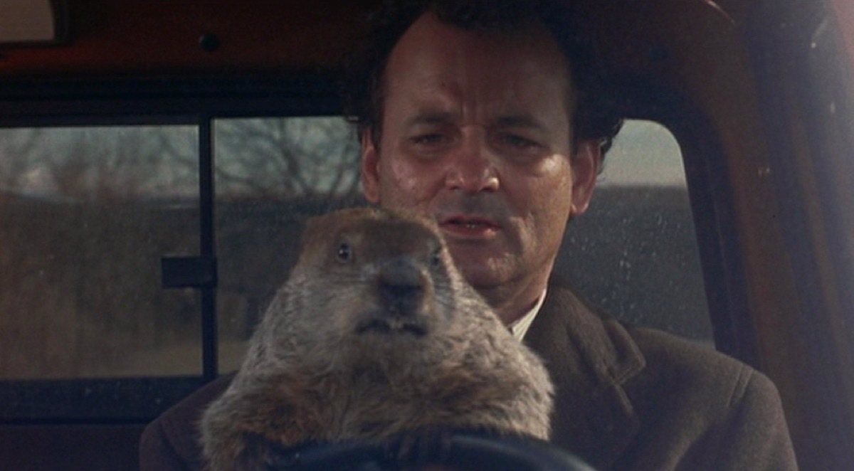 Bill Murray in Groundhog Day