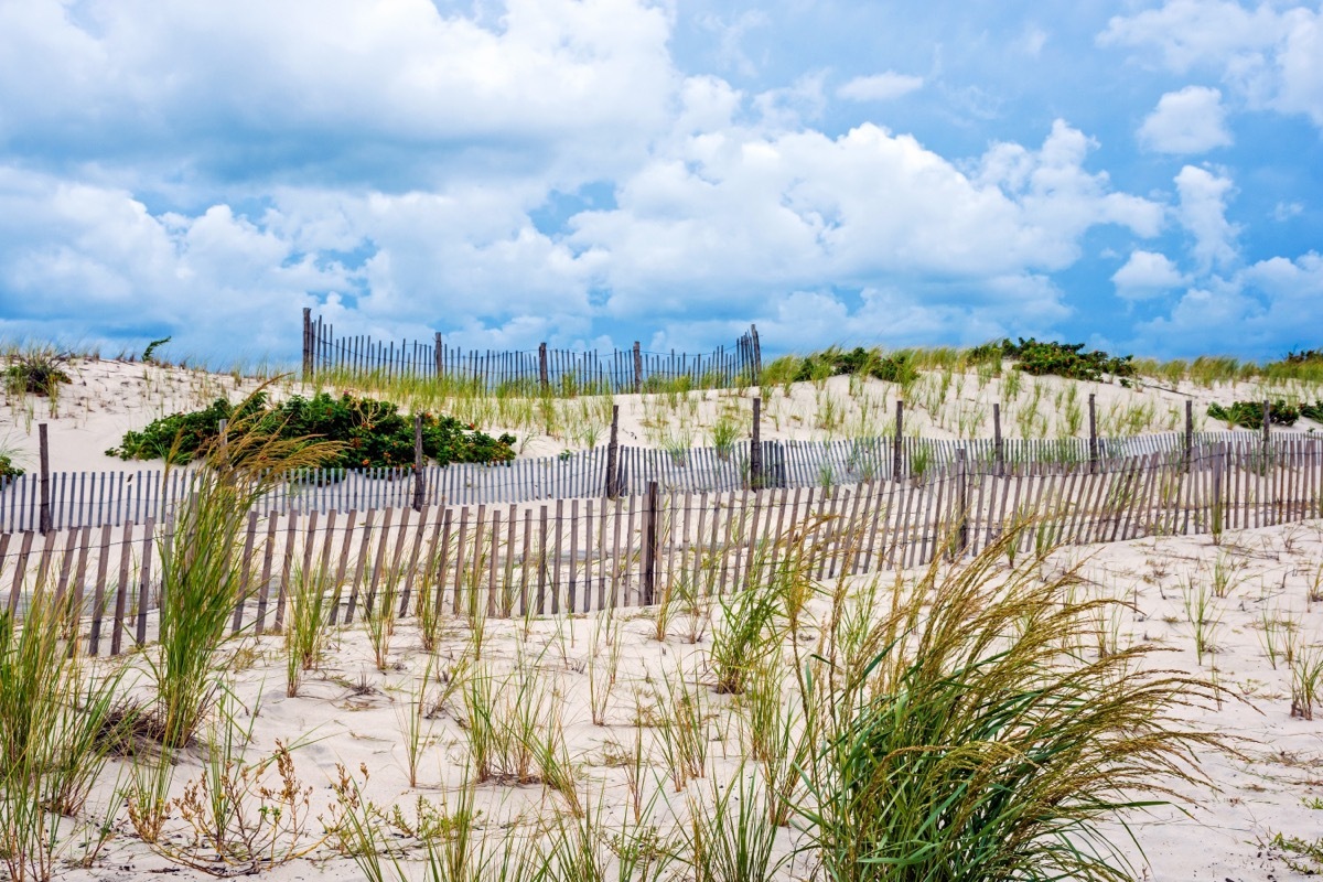 Island Beach State Park