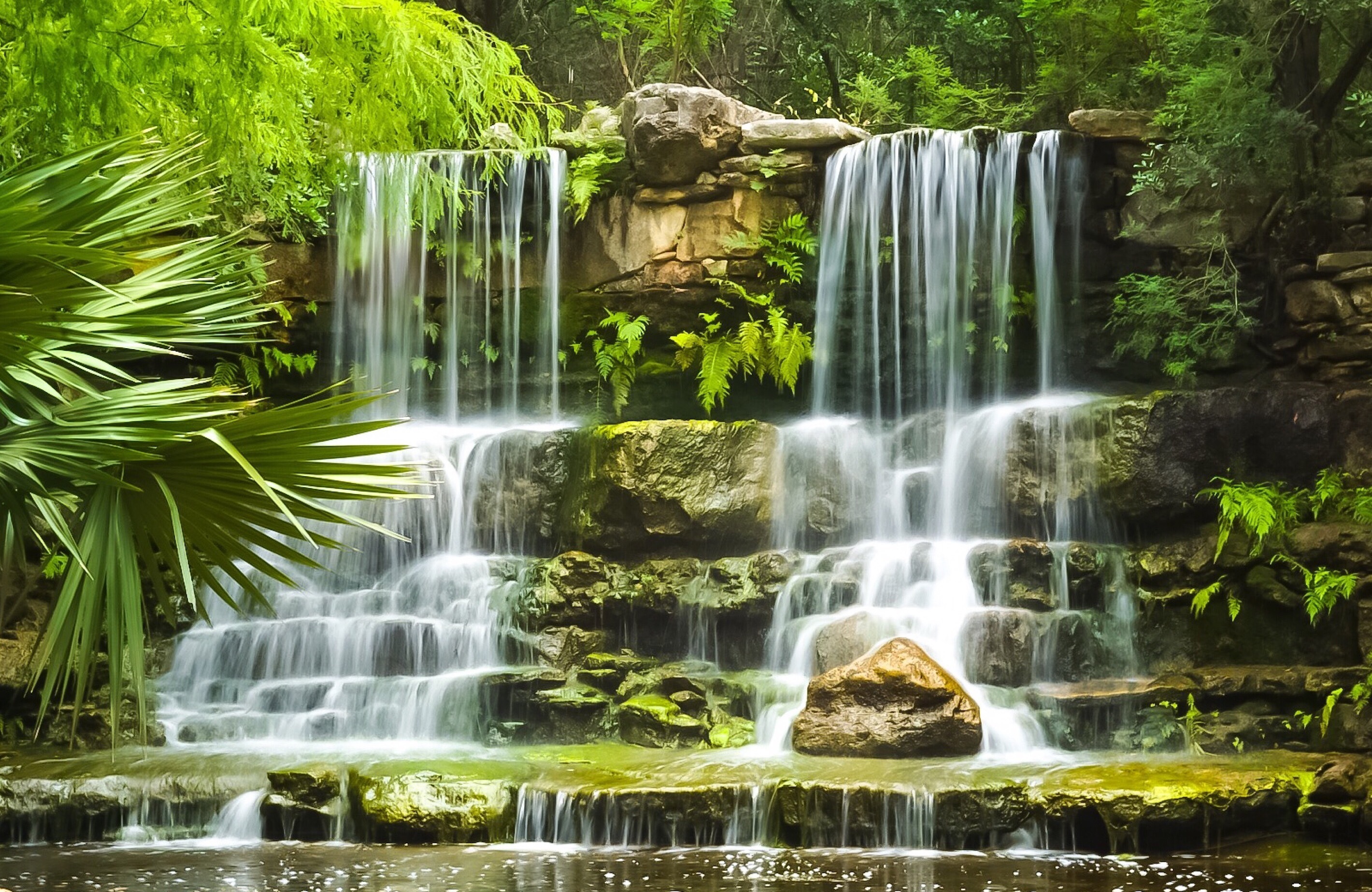 things to do in austin - visit the Zilker botanical garden