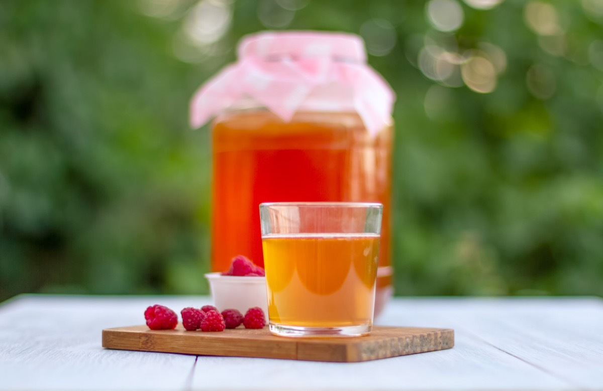 Small Glass of Kombucha Next to a Pitcher