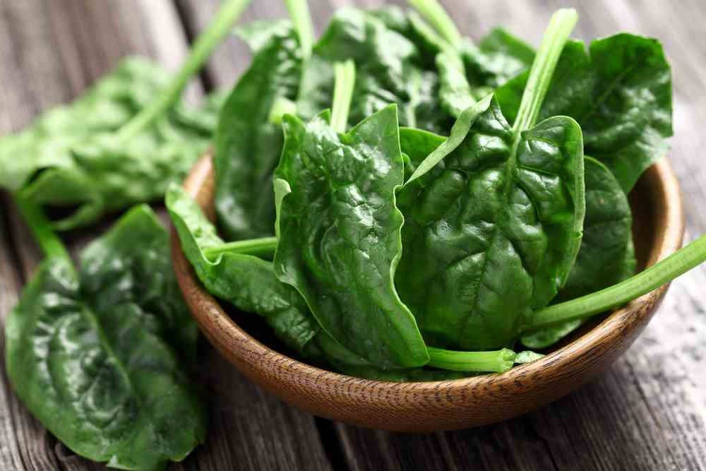 Spinach | 10 Foods That Treat Skin Conditions | Her Beauty