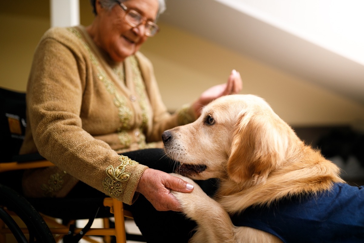 senior woman with a service dog