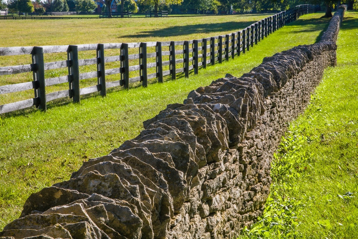 Woode and stone fence on green grass in Lexington, Kentucky