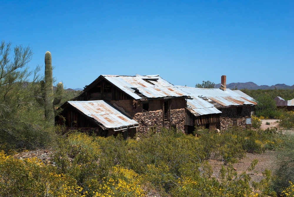 the vulture mine arizona