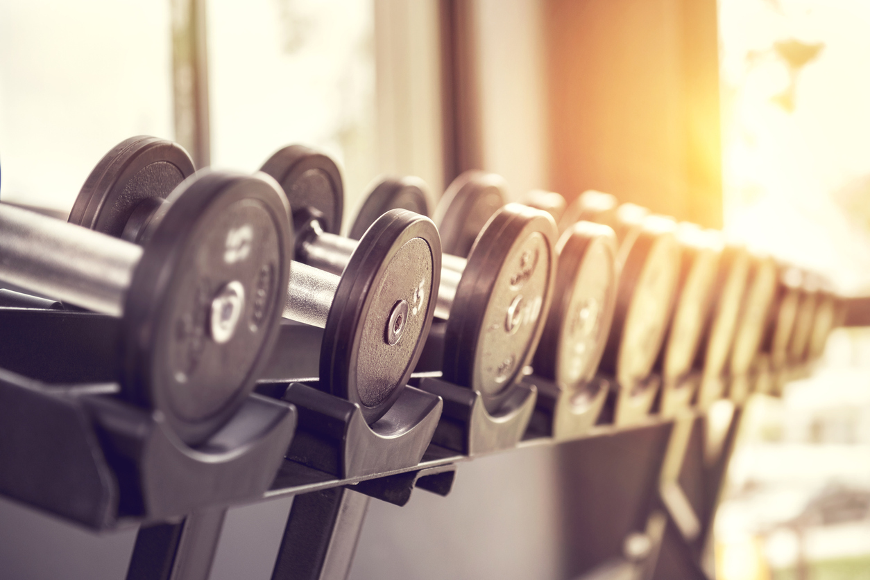 Rows of dumbbells in the gym.