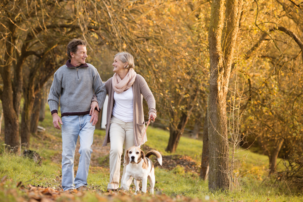 elderly couple takes an autumn stroll with their dog.