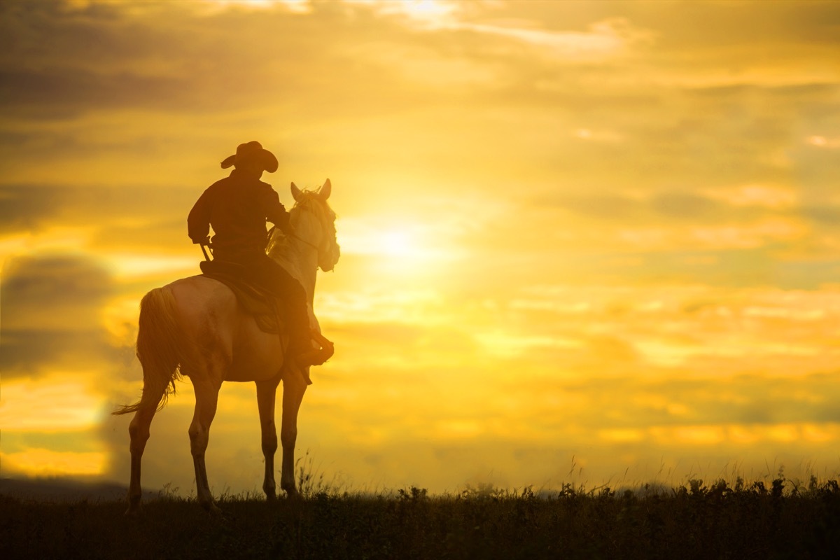 Cowboy riding horse during sunset