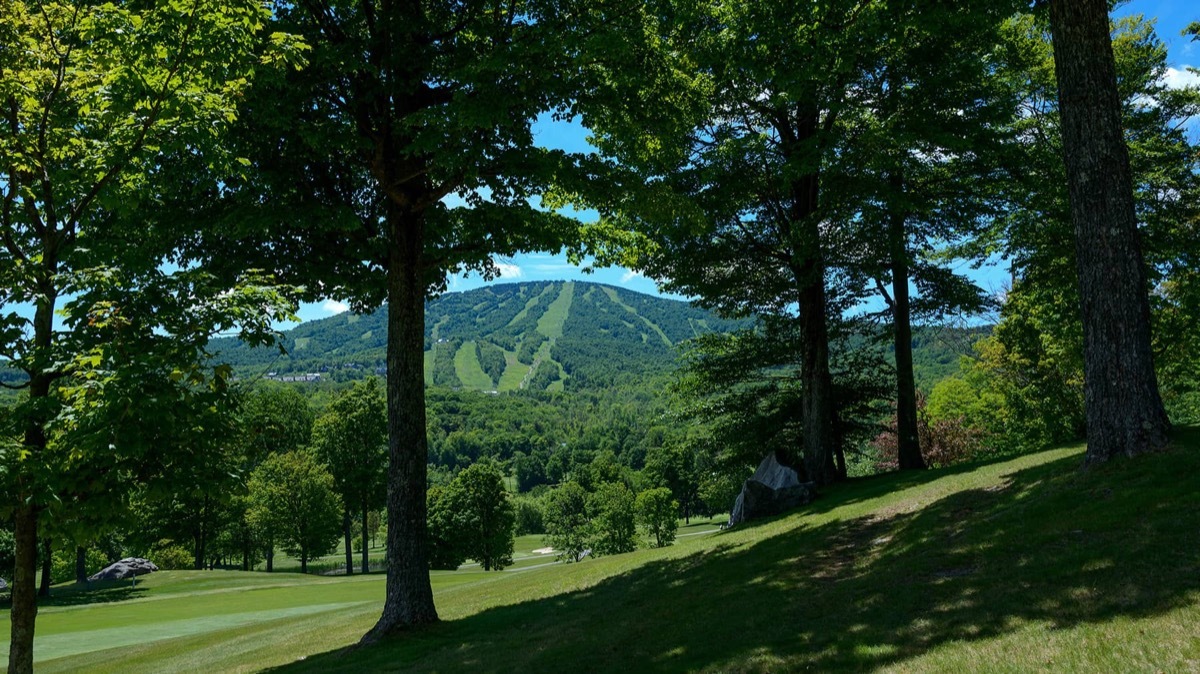 green trees and a grassy ski slope in the summer in vermont