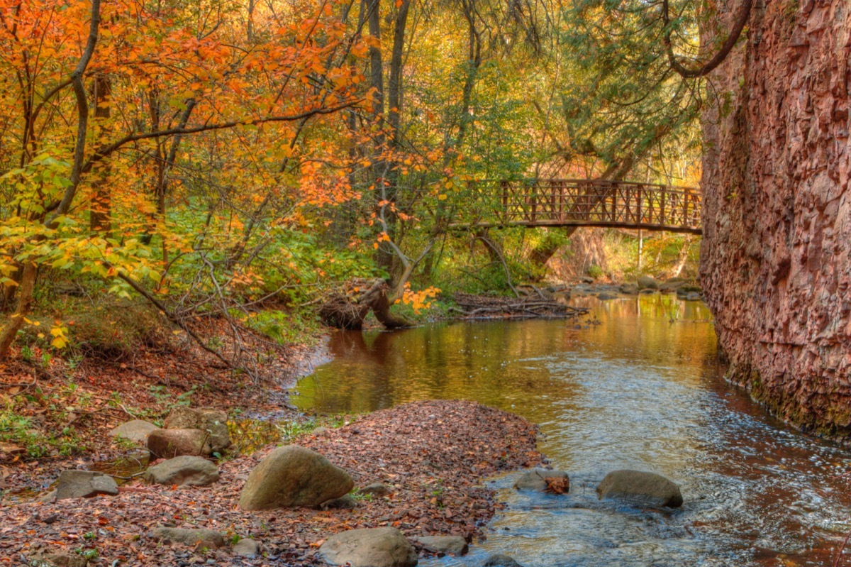 orange and green tress next to and a bridge over a lake in Duluth, Minnestoa