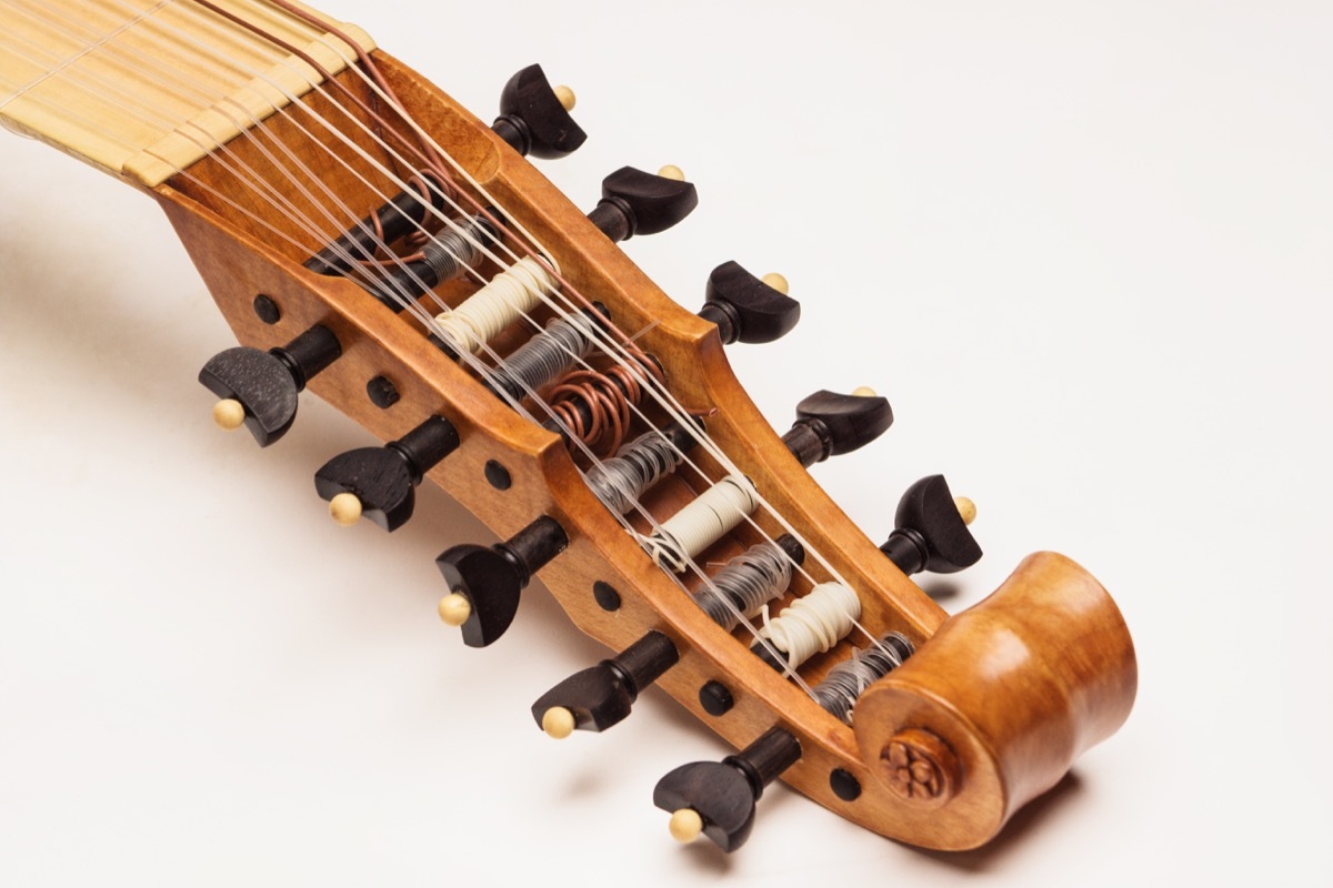 strings on a lute instrument