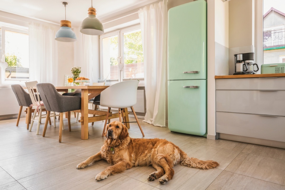 turquoise fridge, vintage home upgrades