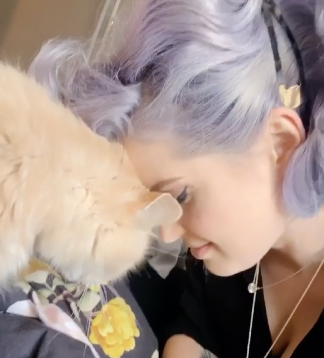 kelly osbourne and cat