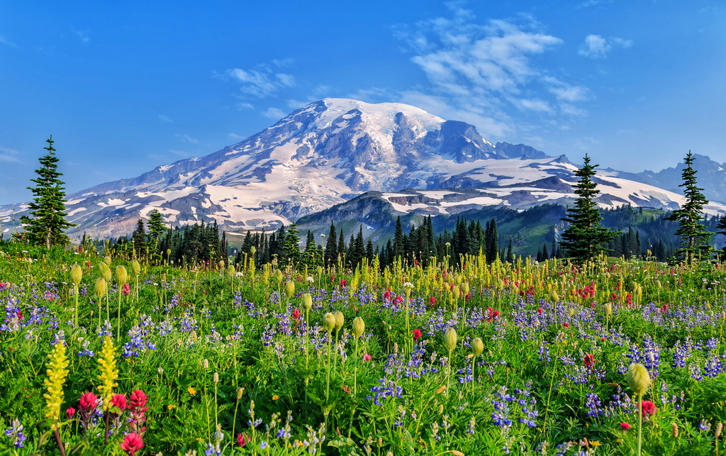 Mount Rainier National Park state natural wonders