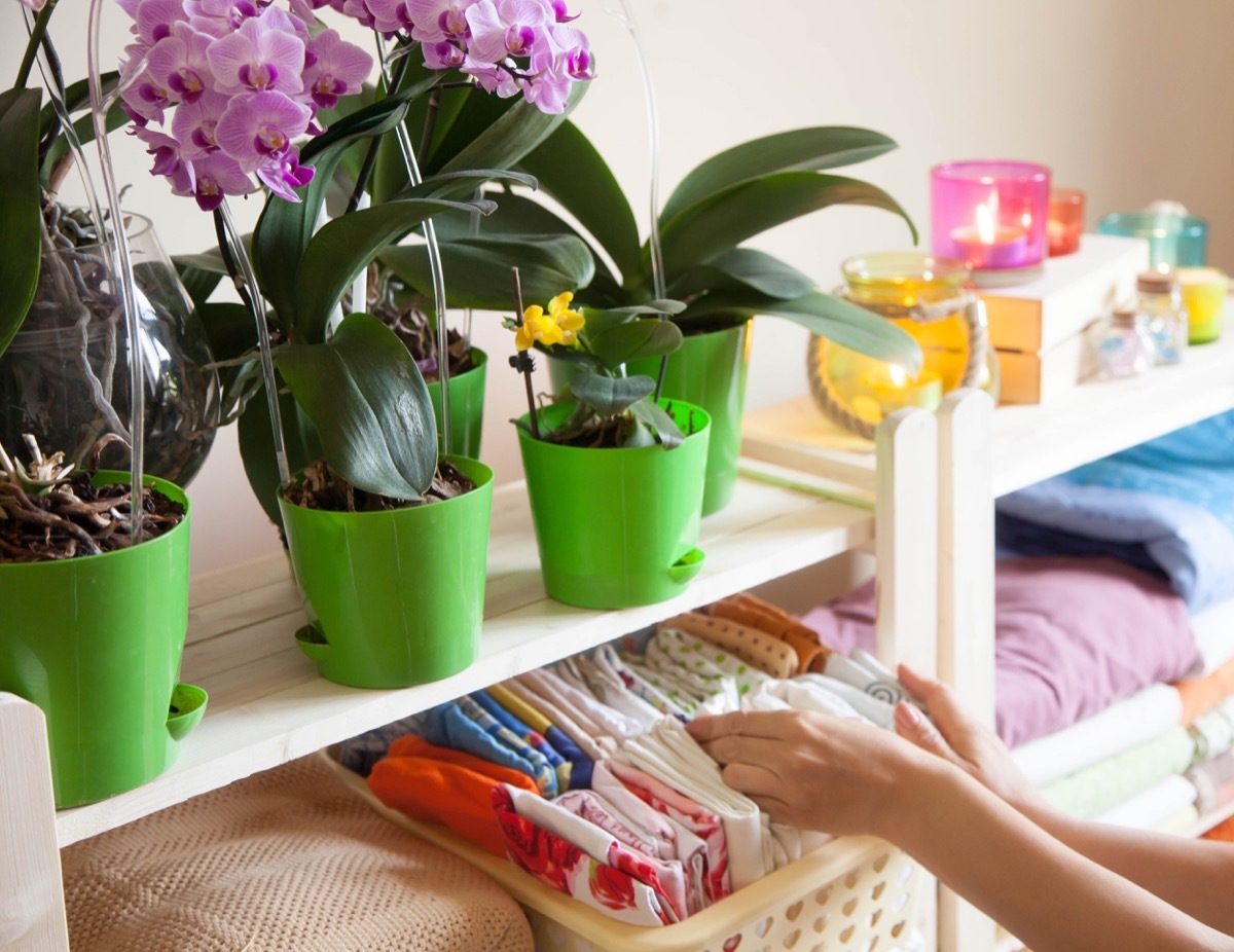 The girl puts the bed linen in the closet. Phalaenopsis orchids stand on the shelf.