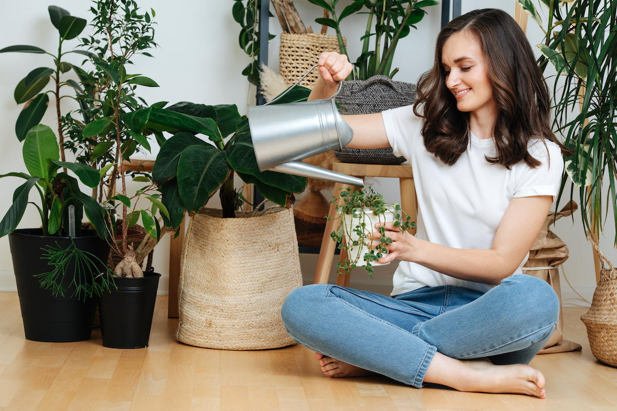 woman in room watering plants