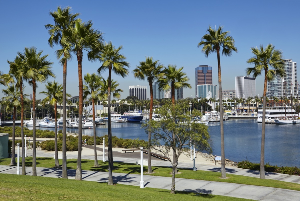 boats, pier, and city skyline of Long Beach, California