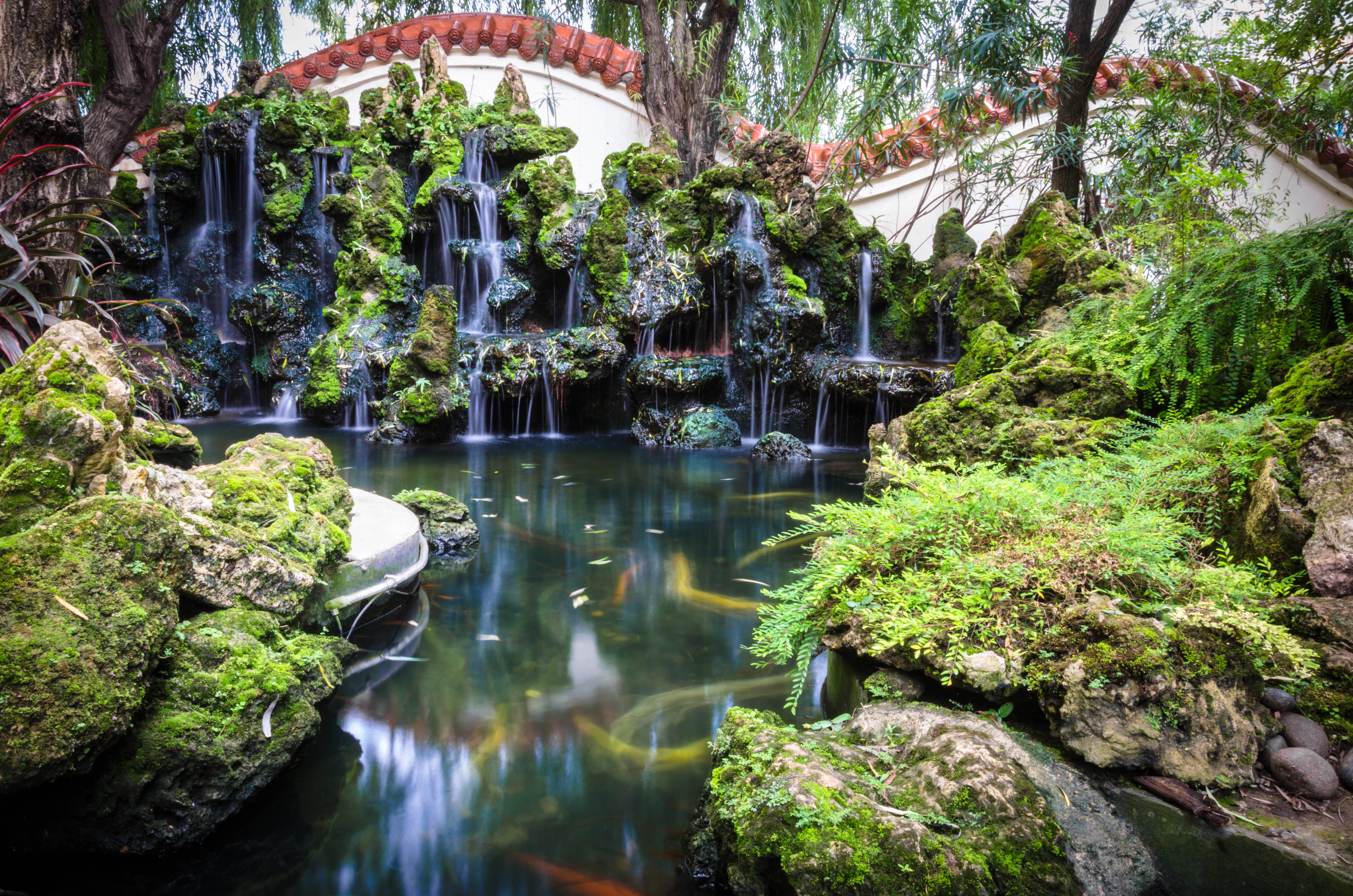 view of the Portland Japanese Garden