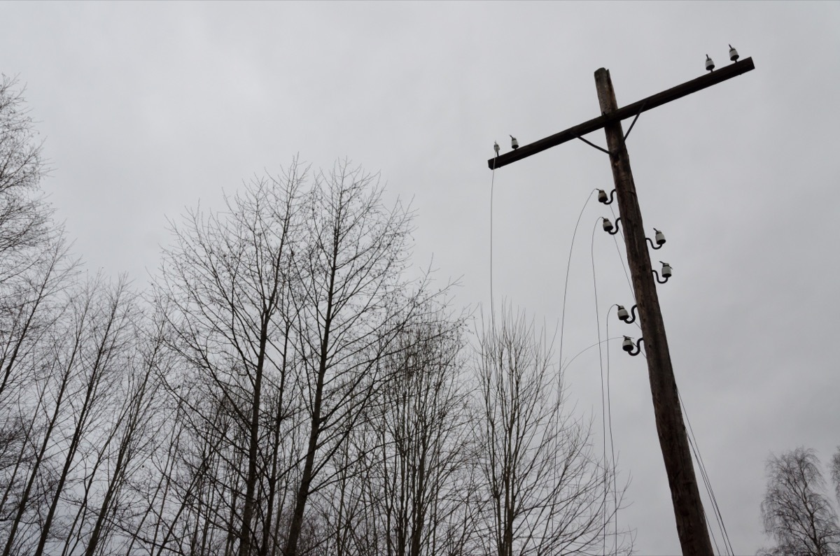 power line in winter