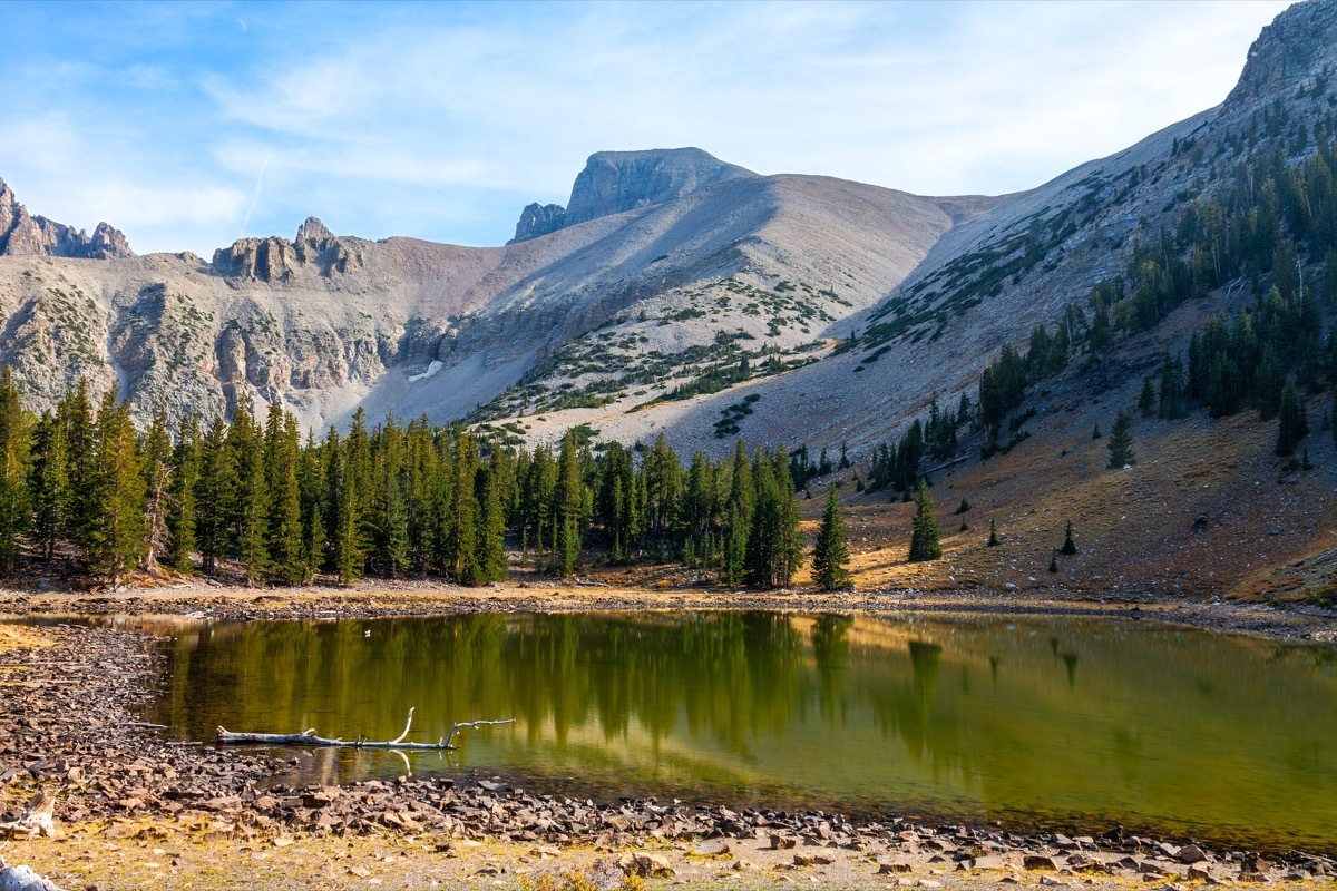 Alpine Loop trail in the Great Basin National Park Nevada