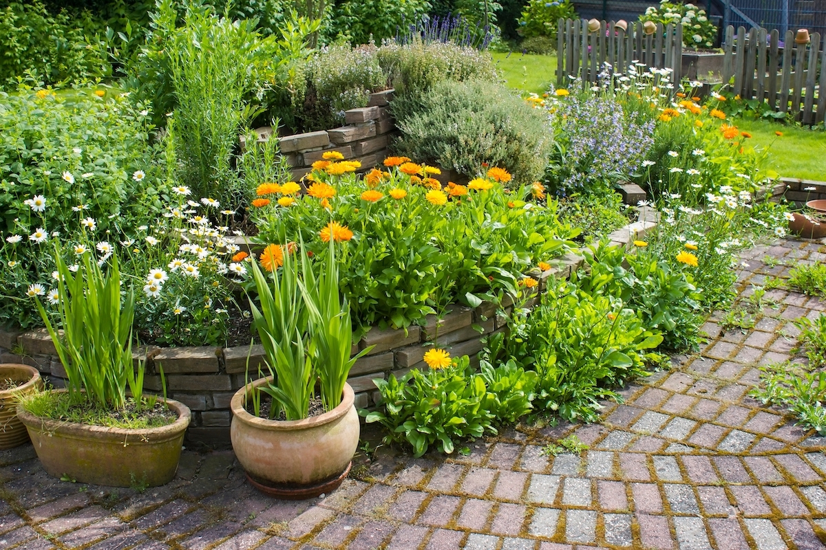 herb spiral in the garden with fresh herbs and flowers