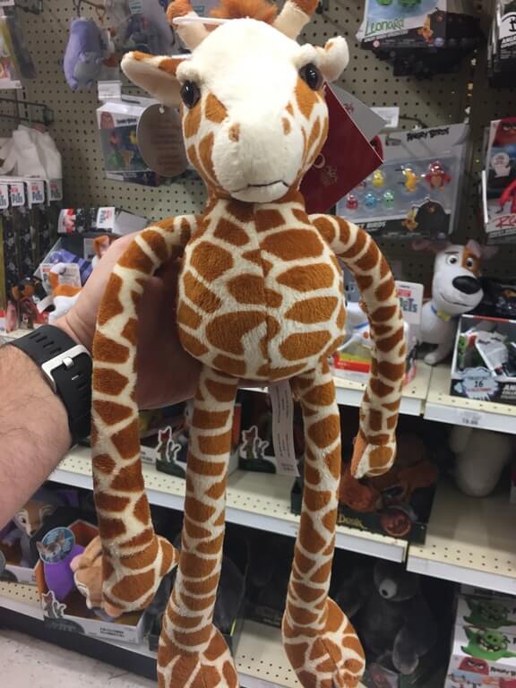 That’s Not How Giraffes Work