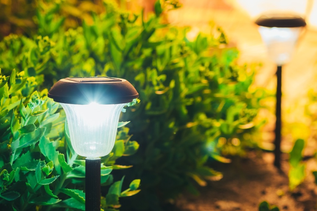 Solar garden lights